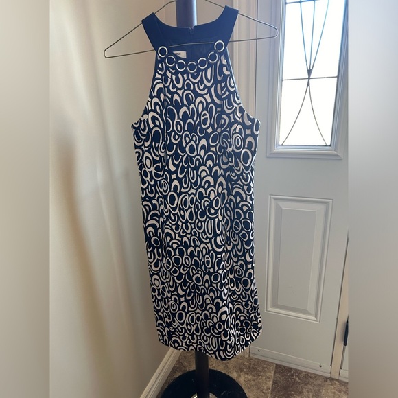 Dresses & Skirts - Evan Picone ladies dress